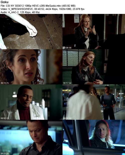 CSI NY S03E12 1080p HEVC x265-MeGusta