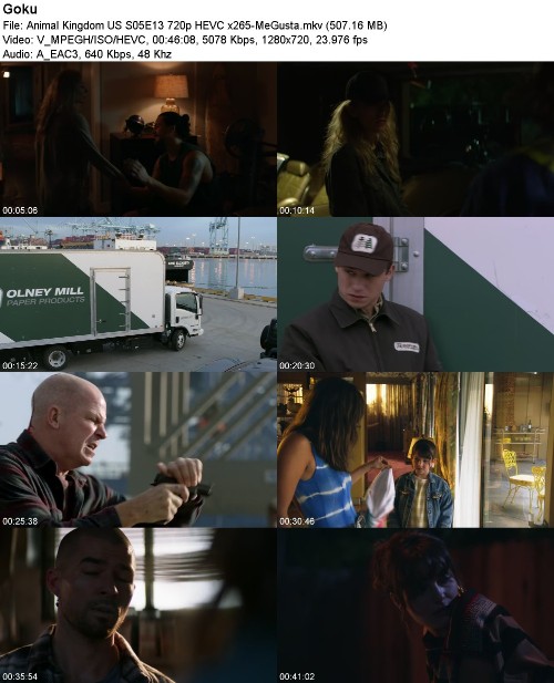 Animal Kingdom US S05E13 720p HEVC x265-MeGusta