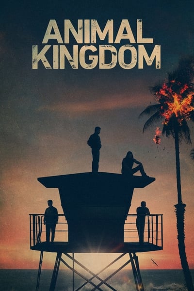 Animal Kingdom US S05E13 720p HEVC x265-MeGusta