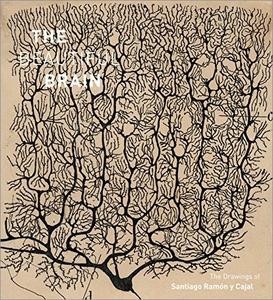 The Beautiful Brain: The Drawings of Santiago Ramón y Cajal (AZW3)