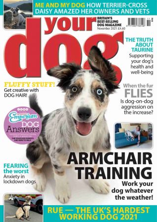 Your Dog Magazine   November 2021