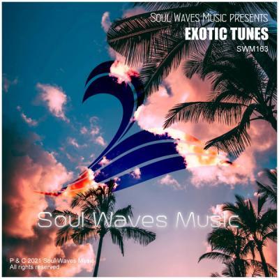 Various Artists   Soul Waves Music pres. Exotic Tunes (2021)