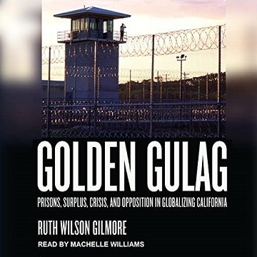 Golden Gulag: Prisons, Surplus, Crisis, and Opposition in Globalizing California [Audiobook]