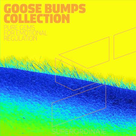 Сборник Goose Bumps Collection, Vol. 6 (2021)