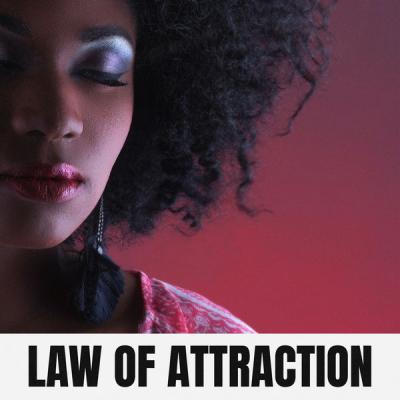 Various Artists   Law of Attraction (2021)
