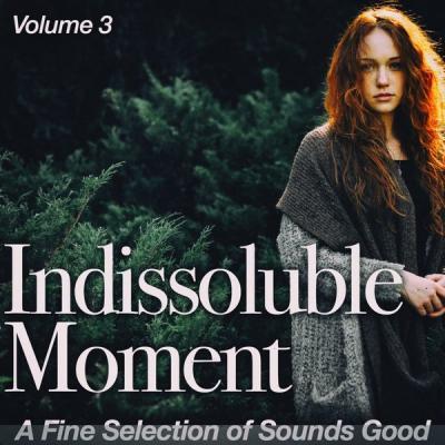 Various Artists   Indissoluble Moment Vol. 3 (A Fine Selection of Sounds Good) (2021)