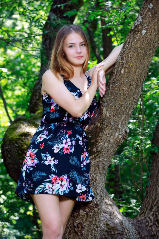 Dakota Pink