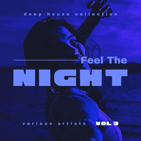Сборник Feel The Night (Deep-House Collection), Vol 3 (2021)