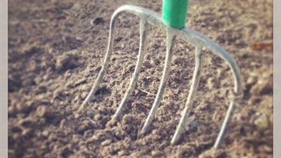 Building Soil from Scratch for Beginners
