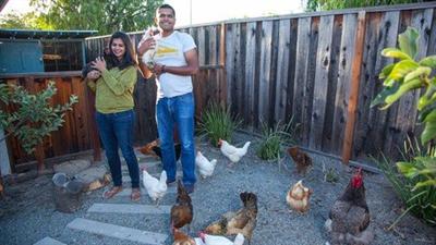 Raising Backyard Chickens   Udemy
