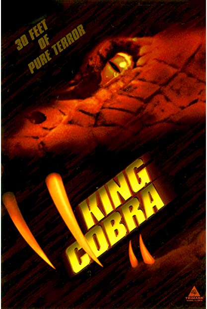 King Cobra 1999 720p WEBRip 999MB HQ x265 10bit-GalaxyRG