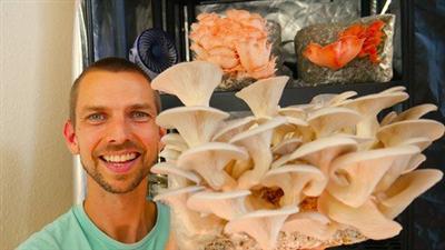 Growing Mushrooms Indoors for Business and Pleasure