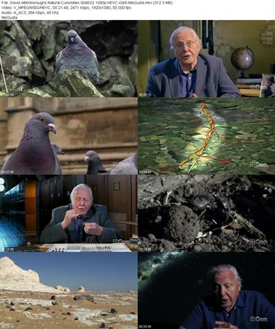 David Attenboroughs Natural Curiosities S04E02 1080p HEVC x265 
