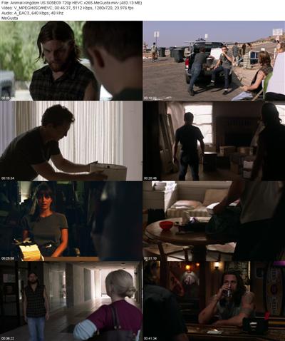 Animal Kingdom US S05E09 720p HEVC x265 