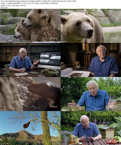 David Attenboroughs Natural Curiosities S04E01 1080p HEVC x265 