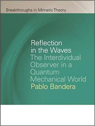 Reflection in the Waves: The Interdividual Observer in a Quantum Mechanical World