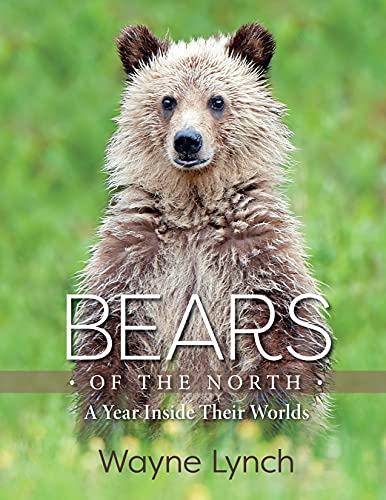 Bears of the North: A Year Inside Their Worlds