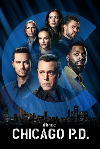 Chicago Pd S08E15 German 1080p Web h264-VoDtv