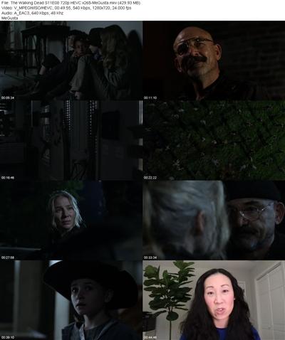 The Walking Dead S11E08 720p HEVC x265 