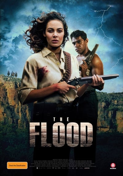 The Flood (2020) 1080p WEBRip x265-RARBG
