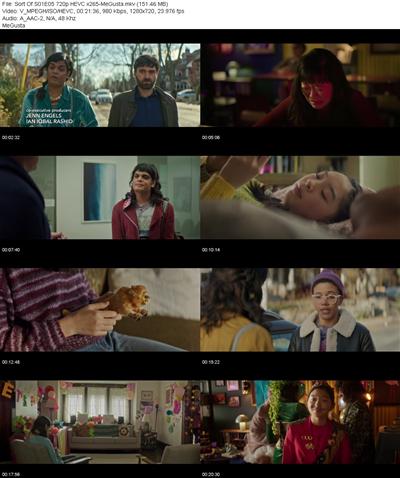 Sort Of S01E05 720p HEVC x265 