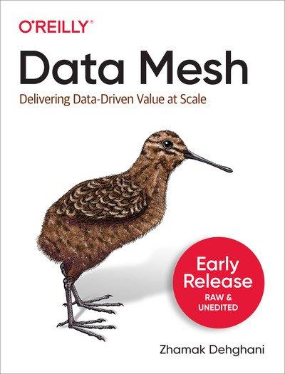 Data Mesh Delivering Data Driven Value at Scale (Third Early Release)