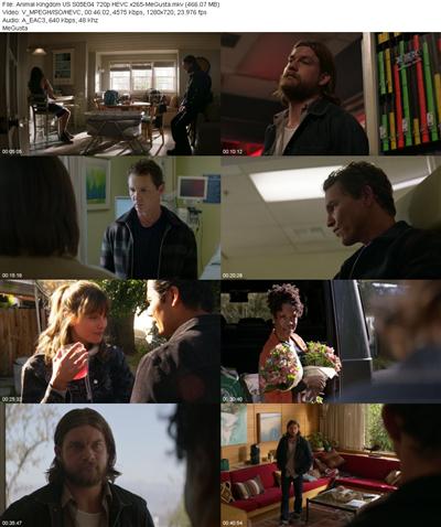 Animal Kingdom US S05E04 720p HEVC x265 