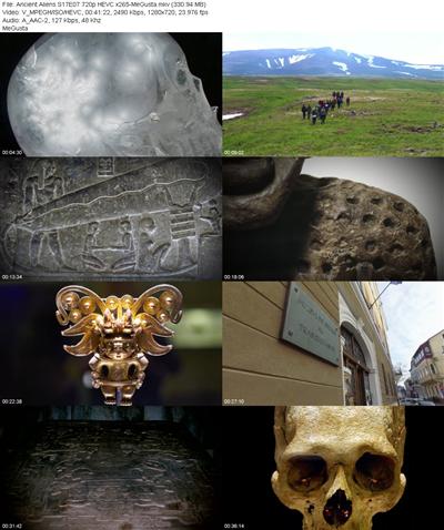 Ancient Aliens S17E07 720p HEVC x265 