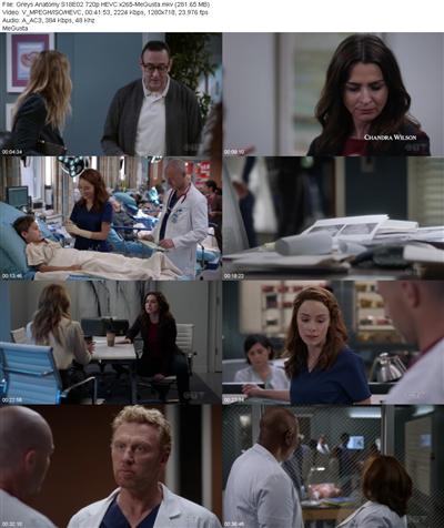 Greys Anatomy S18E02 720p HEVC x265 