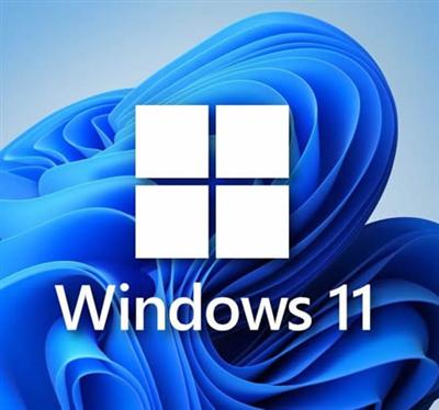 Windows 11 21H2 10.0.22000.194 AIO 26in1 (x64) October 2021