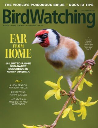BirdWatching USA   December 2021 (True PDF)