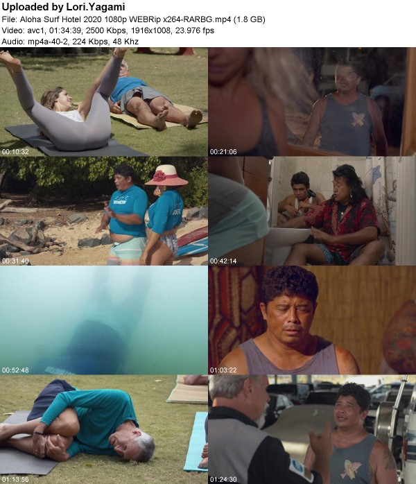 Aloha Surf Hotel (2020) 1080p WEBRip x264-RARBG