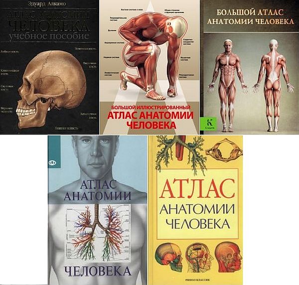 Атлас анатомии человека в 5 книгах (2003-2016) DjVu, PDF