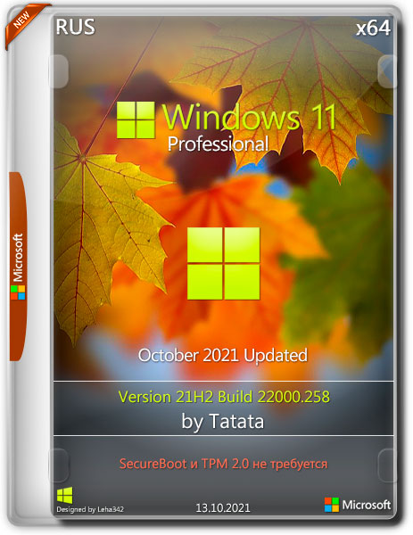 Windows 11 Professional 22000.258 x64 by Tatata (RUS/2021)