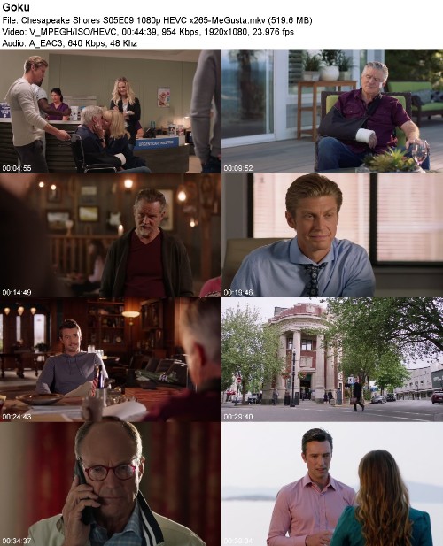 Chesapeake Shores S05E09 1080p HEVC x265-MeGusta