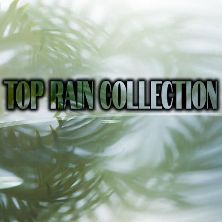 Top Rain Collection (2021)