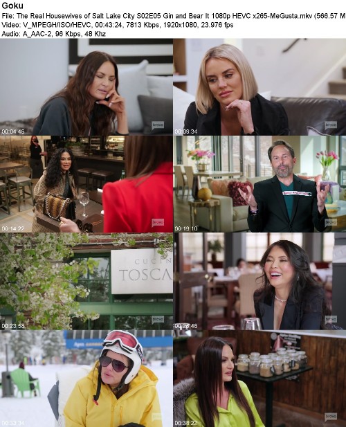 The Real Housewives of Salt Lake City S02E05 Gin and Bear It 1080p HEVC x265-MeGusta