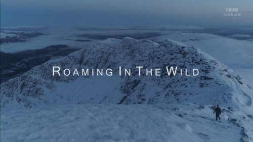 BBC - Roaming in the Wild Doon the Forth (2020)