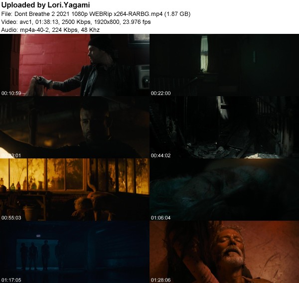 Dont Breathe 2 (2021) 1080p WEBRip x264-RARBG