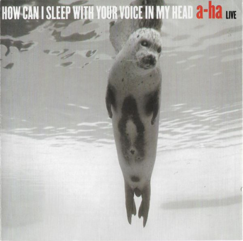 A-ha - How Can I Sleep With Your Voice In My Head (2003) (LOSSLESS)