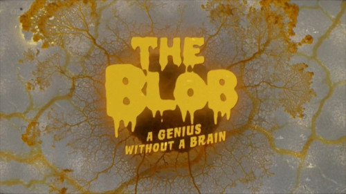 BBC - The Blob A Genius without a Brain (2021)