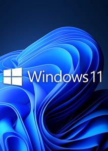 Windows 11 Pro 21H2 Build 22000.556  x64 (No TPM Required) Multilingual Preactivated