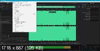 Adobe Audition 2021 14.4.0.38 Portable by XpucT