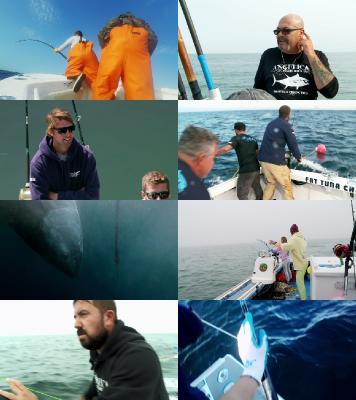 Wicked Tuna S10E20 1080p HEVC x265-MeGusta