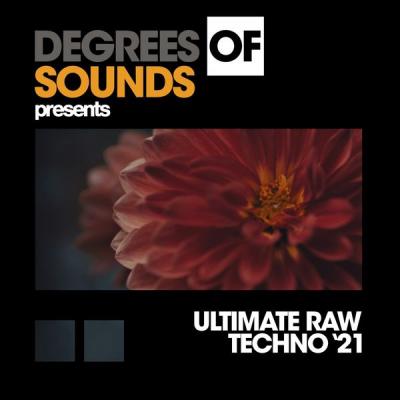 Various Artists - Ultimate Raw Techno Summer '21 (2021)