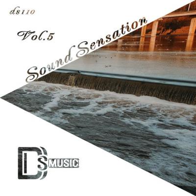 Various Artists - Sound Sensation Vol. 5 (2021)