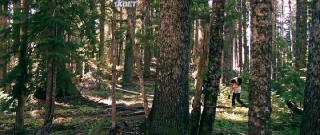 Маунт-Адамс (2021)