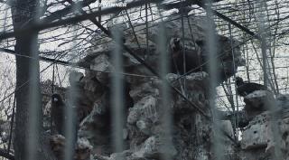 Сын горы (2018)