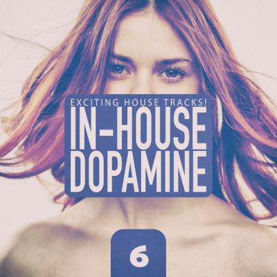 Various Artists - In-House Dopamine Vol. 6 (2021)