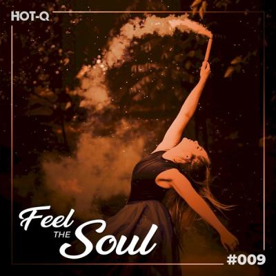 Various Artists - Feel The Soul 009 (2021)